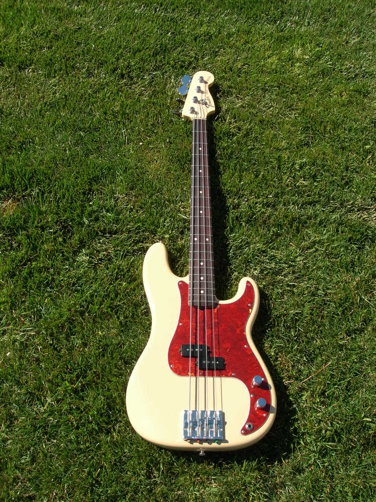 DSCN1588.jpg
