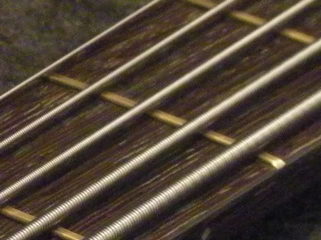 DSCN1729.jpg