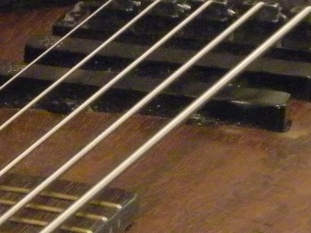 DSCN1730.jpg
