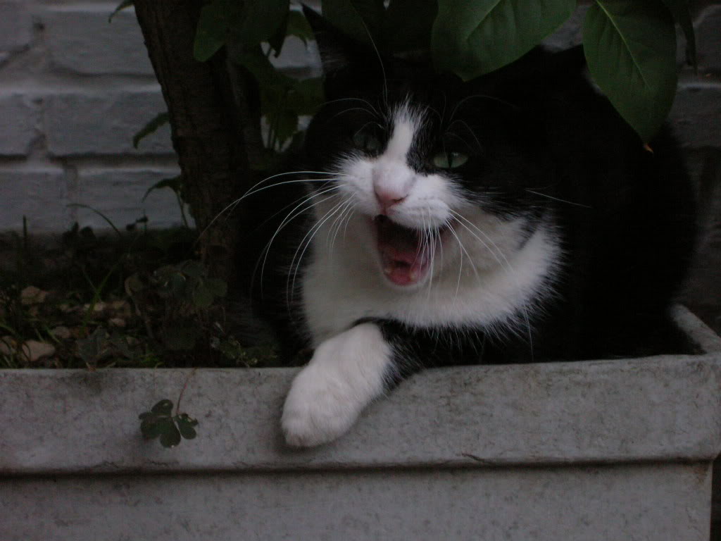 Dscn1835.jpg
