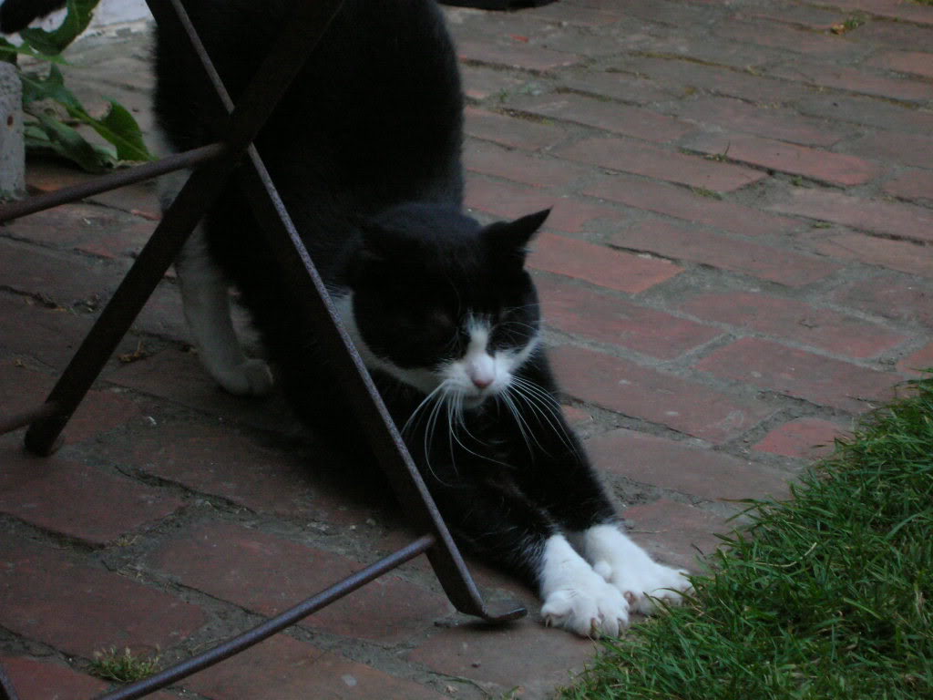 Dscn1836.jpg