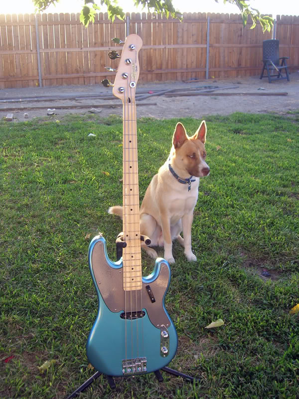 DSCN1985.jpg
