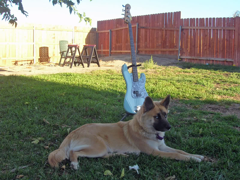 DSCN2003.jpg