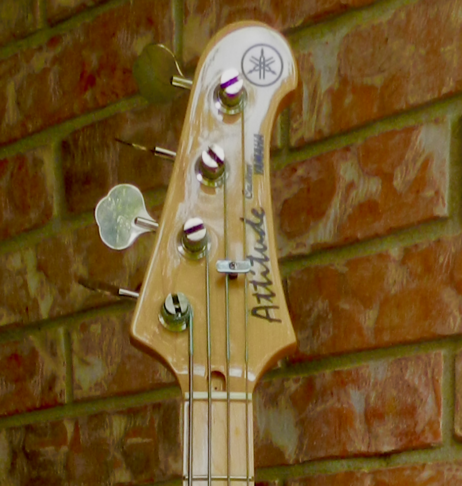 DSCN2195 (1).png