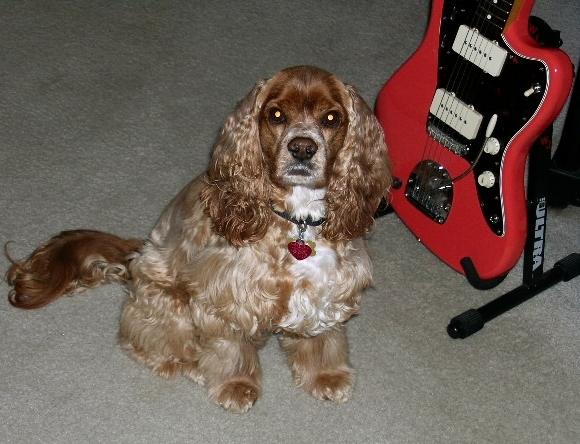 DSCN2240.jpg