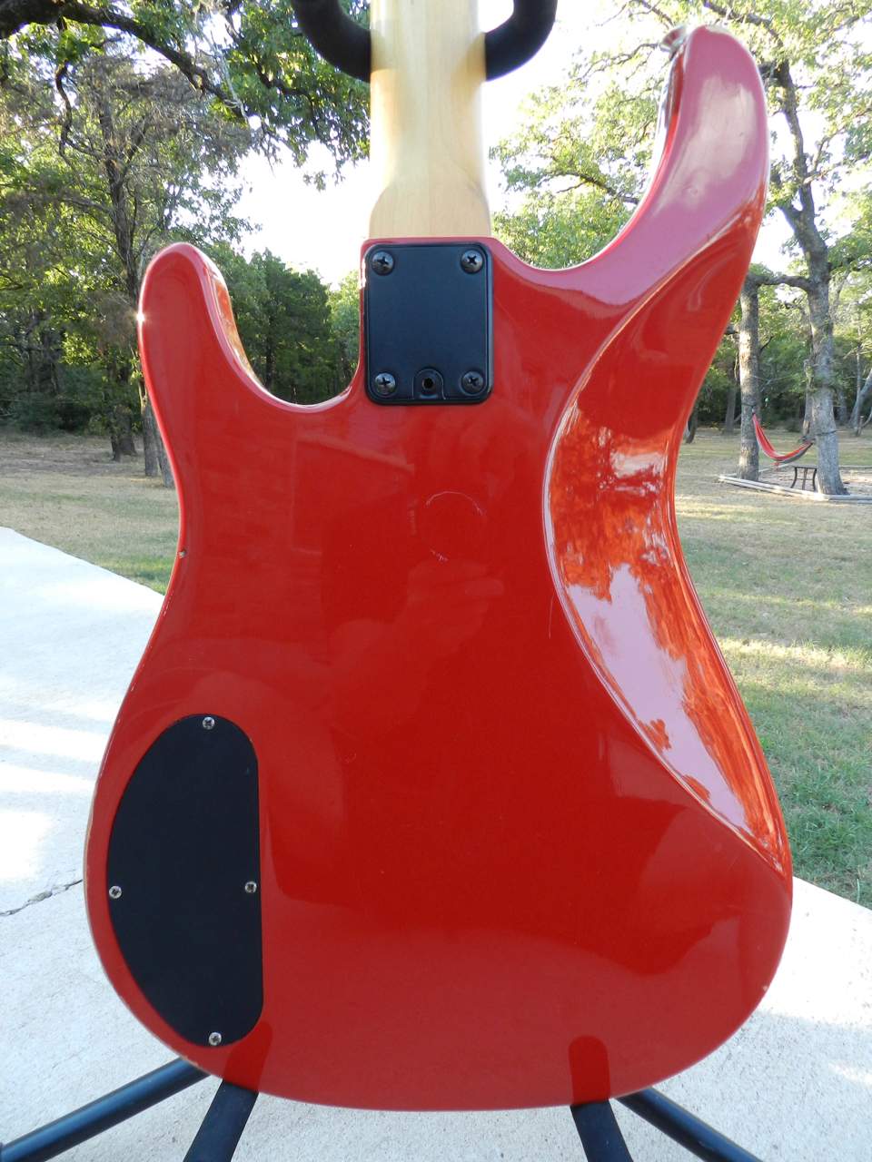 DSCN2329.jpg