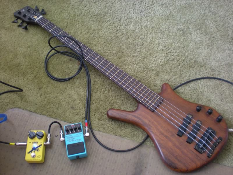 DSCN2504.jpg