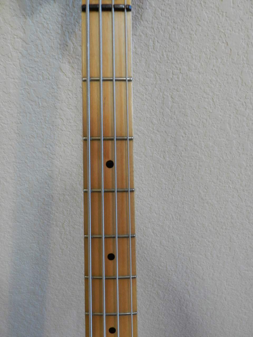 DSCN2520.jpg