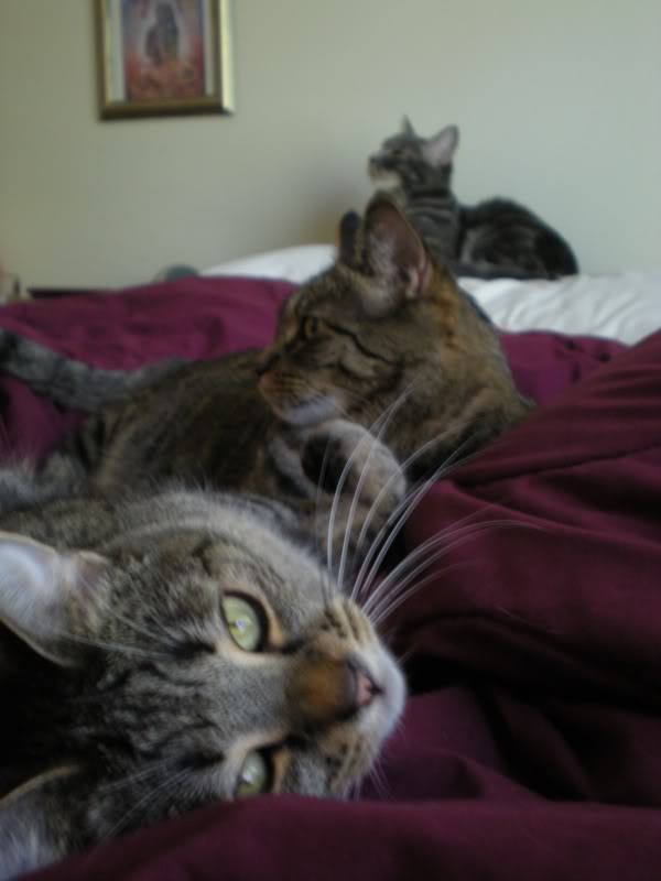 DSCN2835.jpg