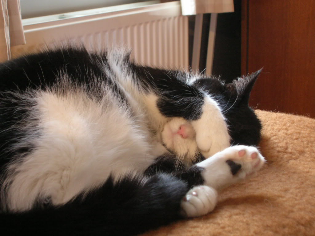 DSCN3272.jpg