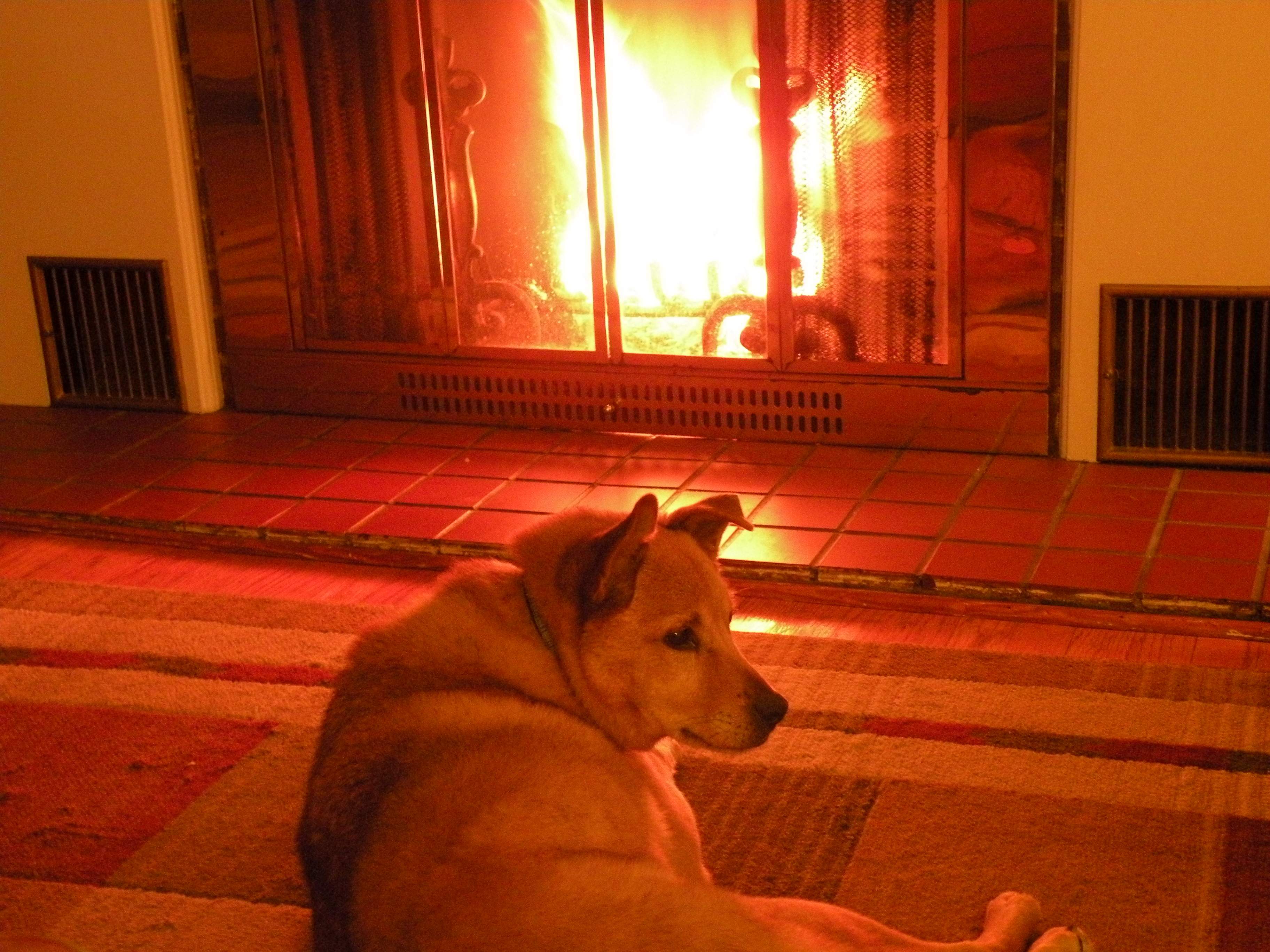 DSCN3343.JPG