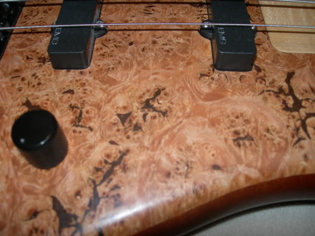 DSCN3382.jpg