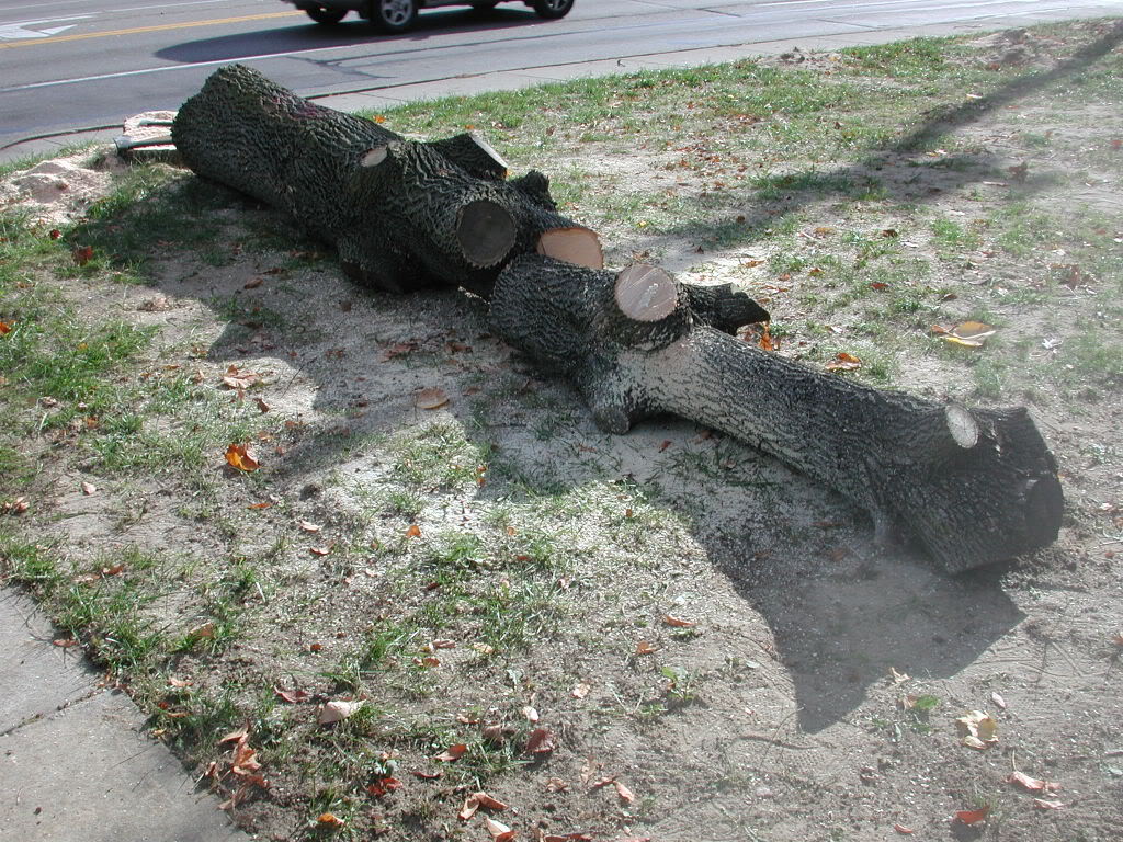 DSCN3540.jpg