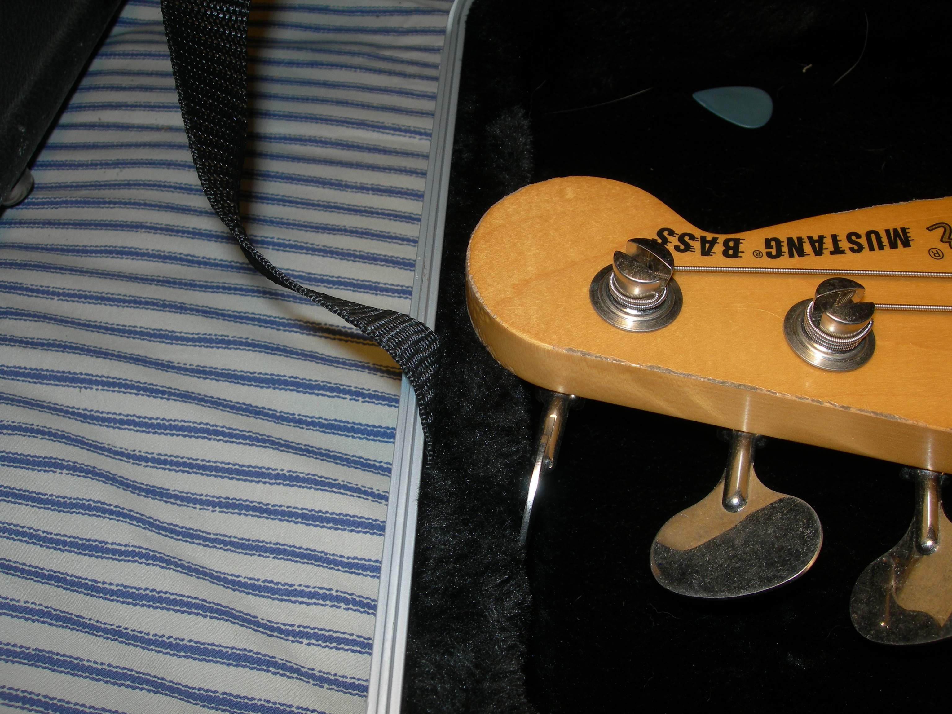 DSCN3617.JPG