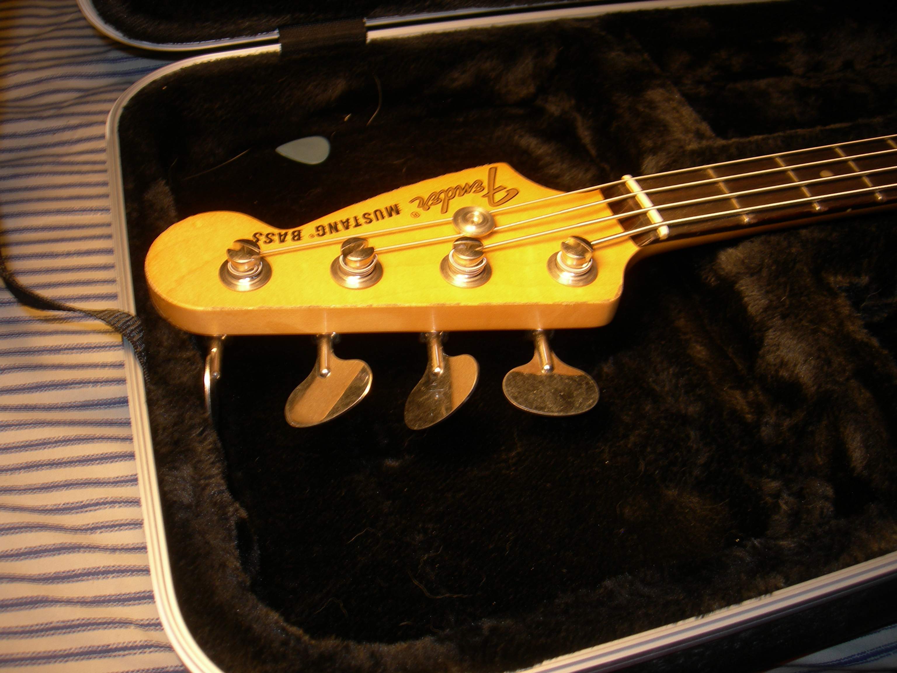 DSCN3618.JPG