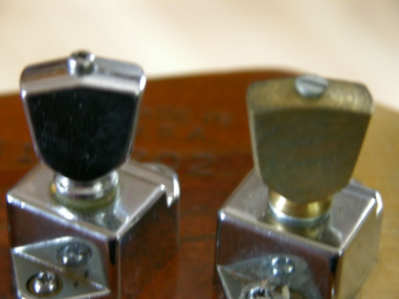 DSCN3702.jpg