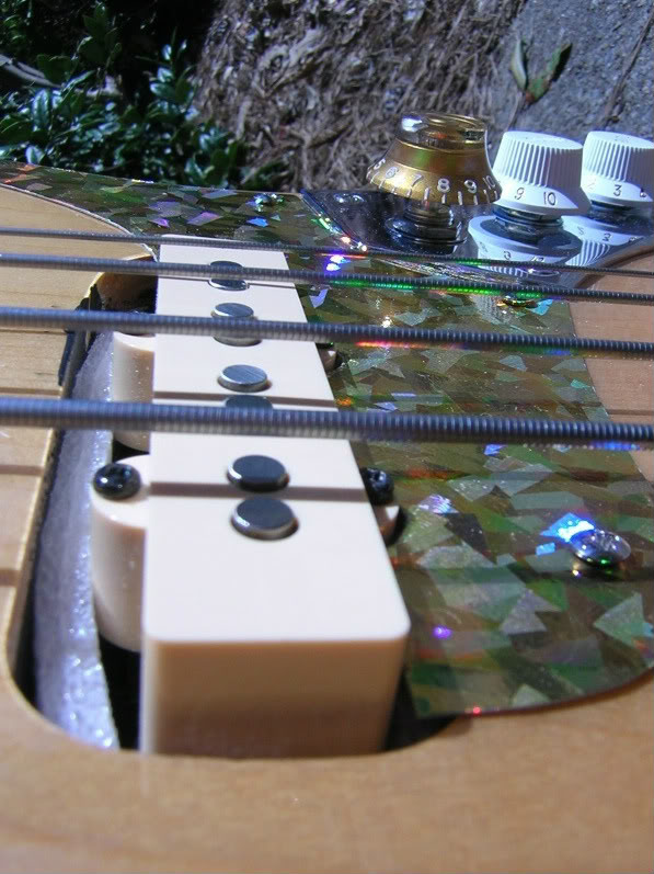 DSCN3729.jpg