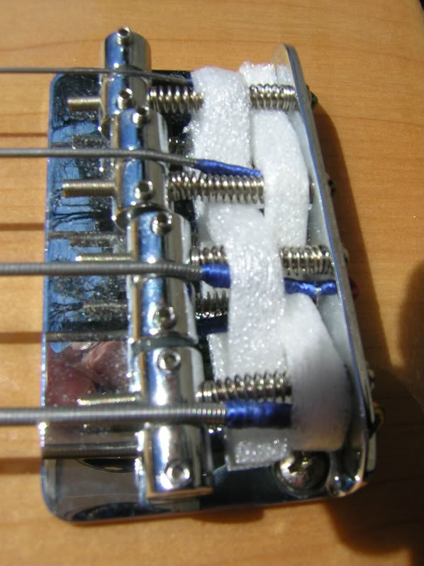 DSCN3730.jpg