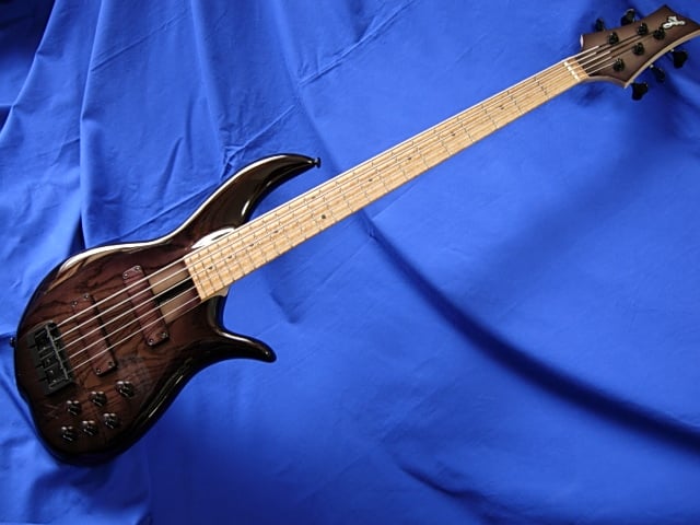 DSCN4031.jpg