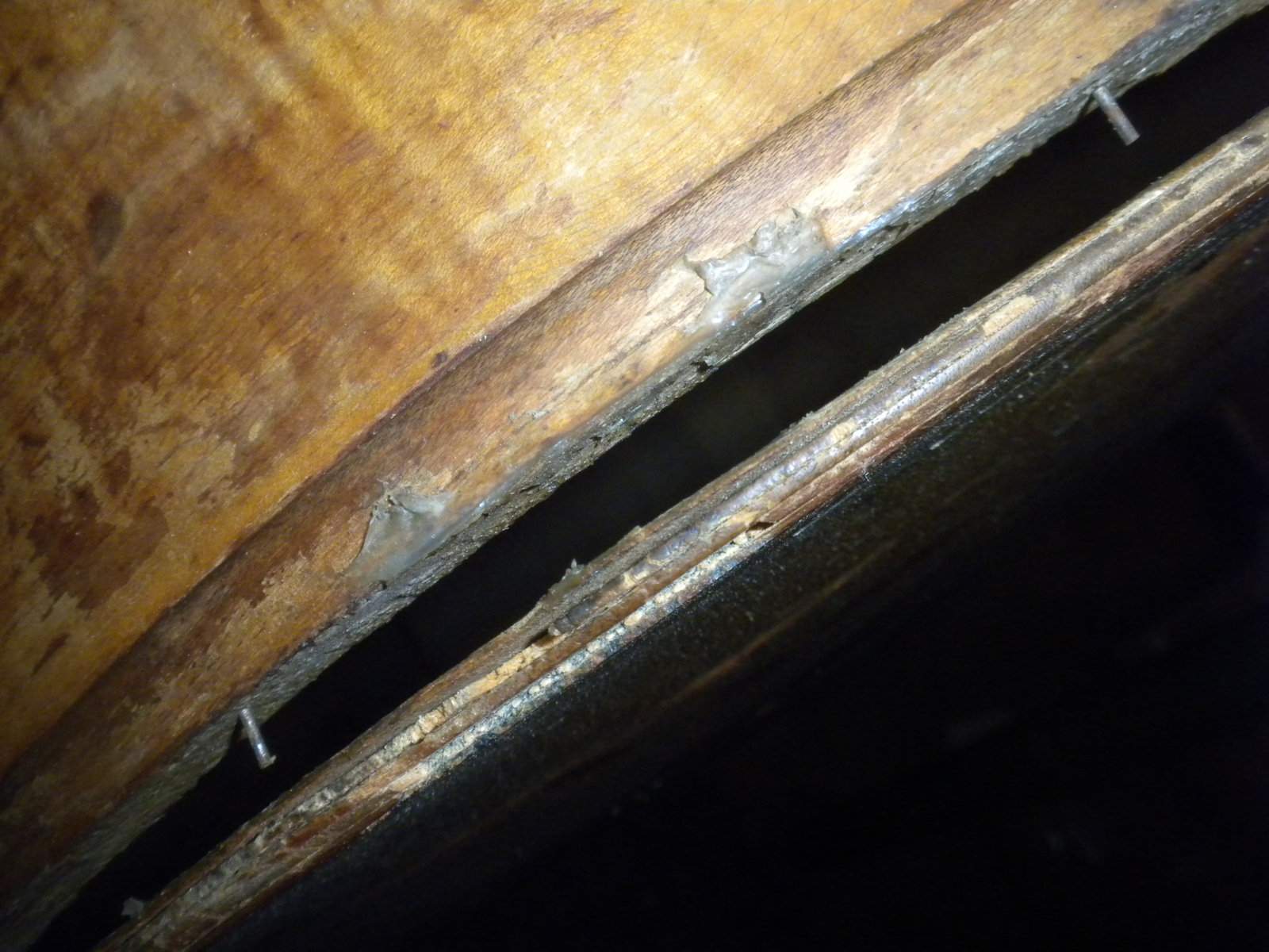 DSCN4043.JPG