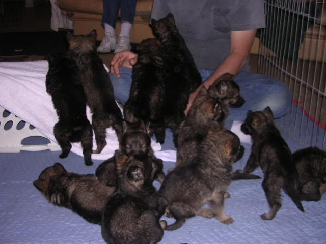 DSCN4056.jpg
