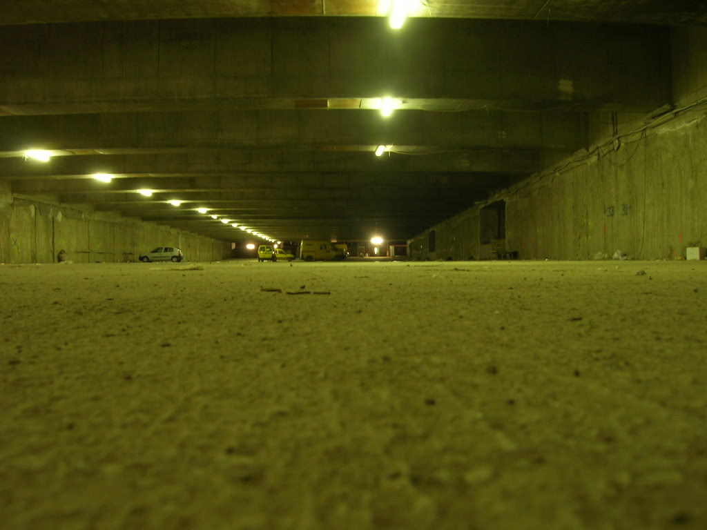 DSCN4334.jpg