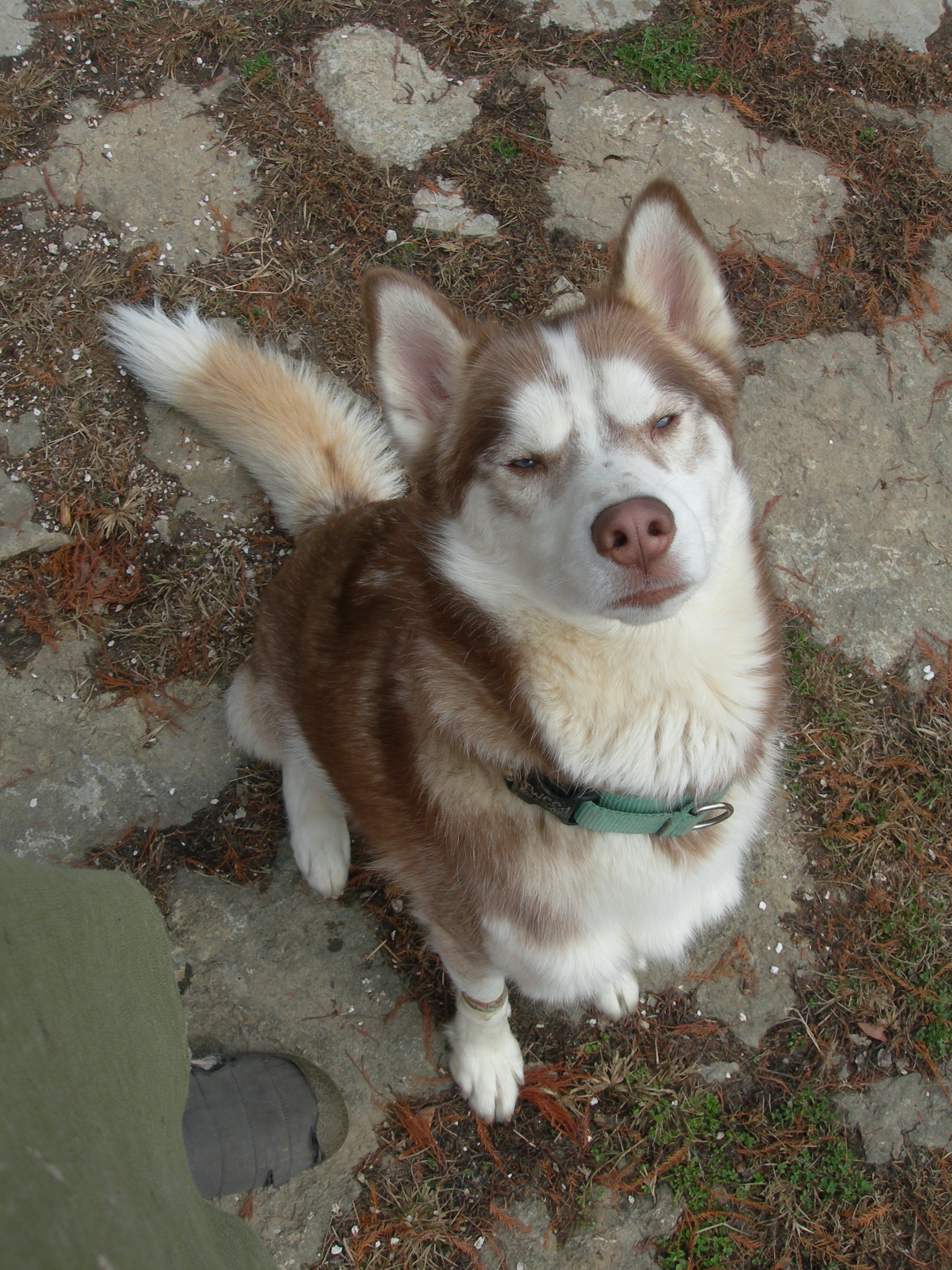 DSCN4338.JPG