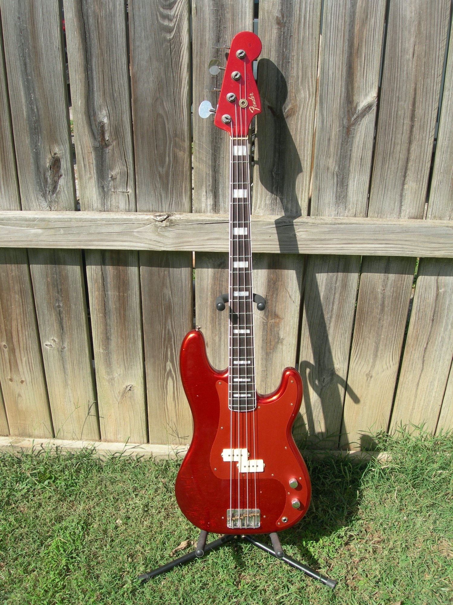 DSCN4681.JPG