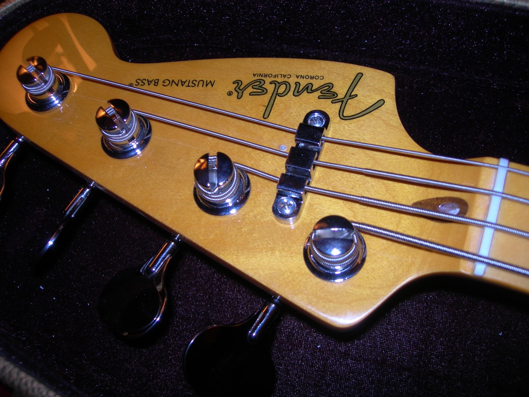 DSCN4905.JPG