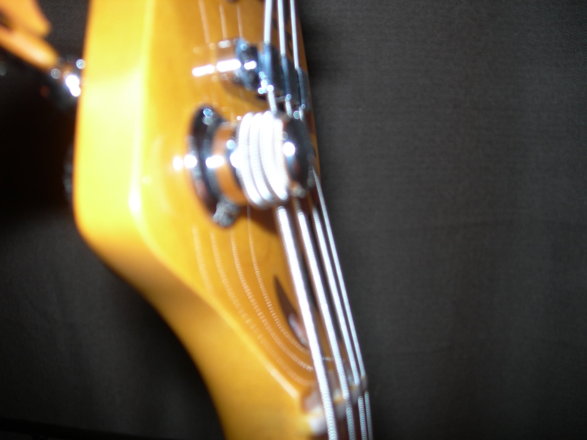 DSCN4908.JPG