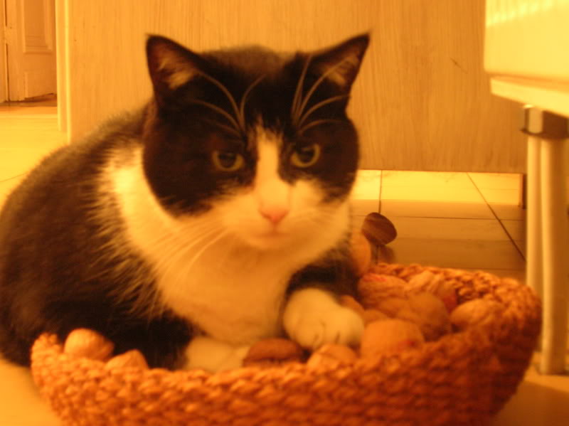 DSCN5135.jpg