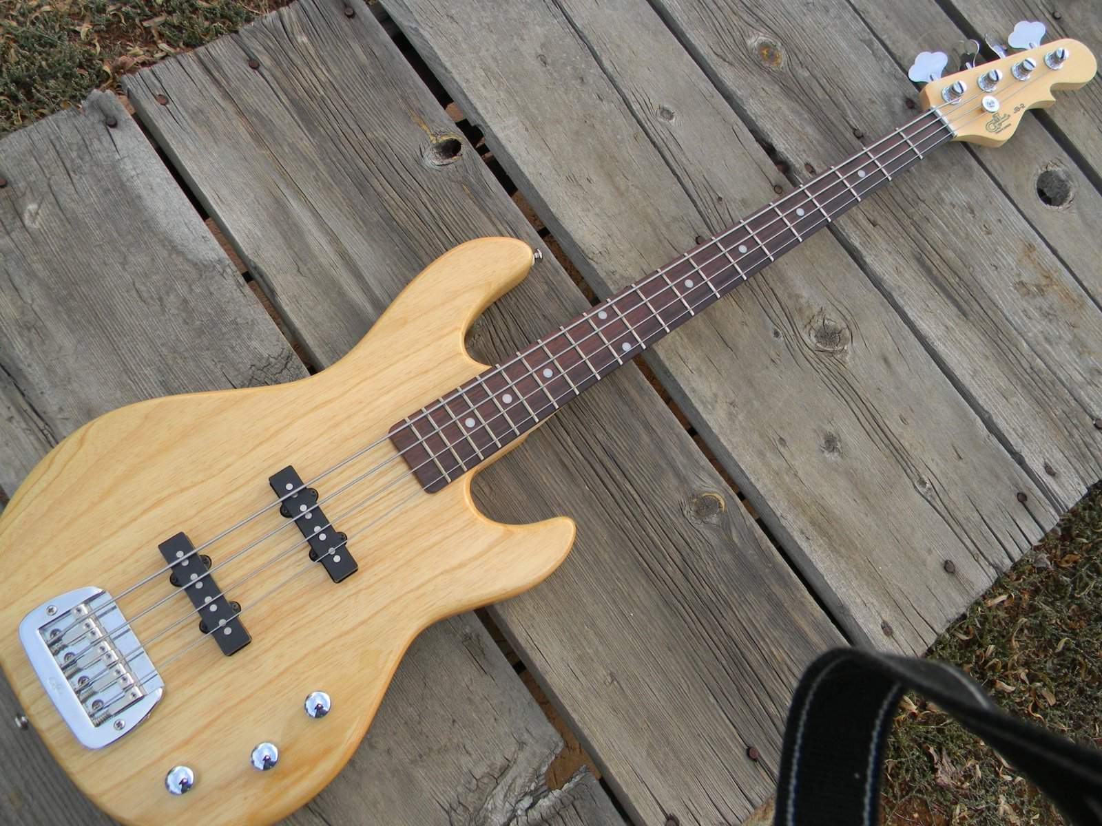 DSCN5169.JPG