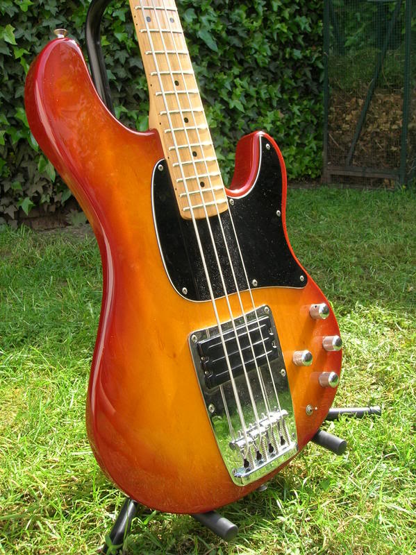 DSCN5331.jpg
