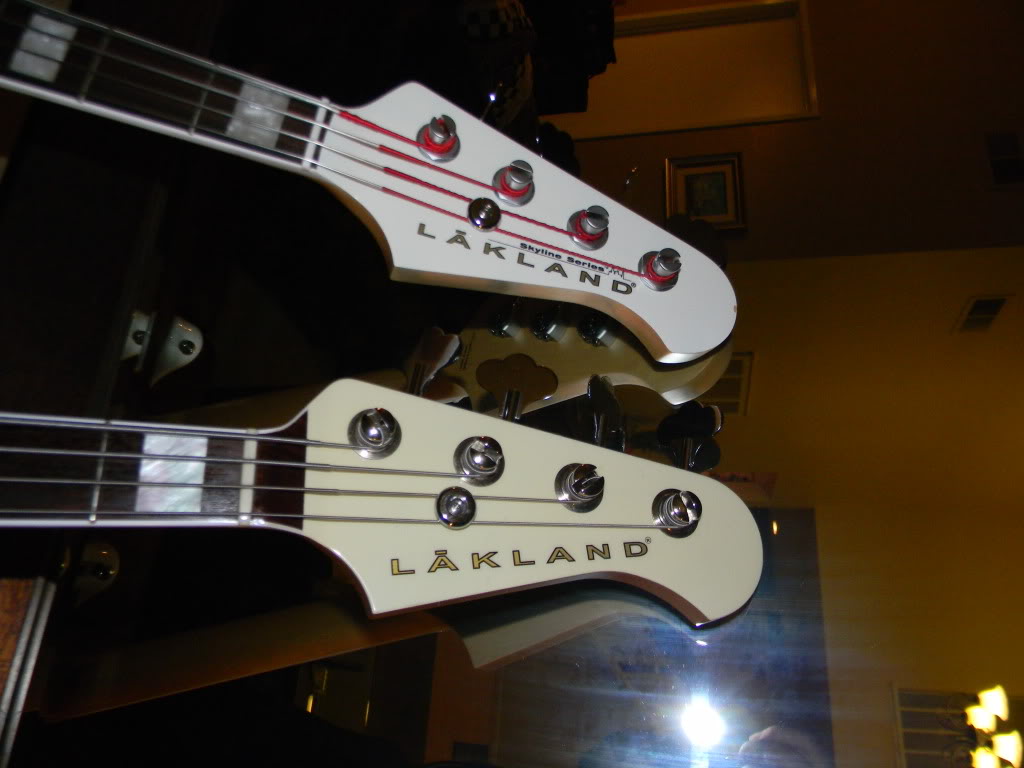 DSCN5579.jpg