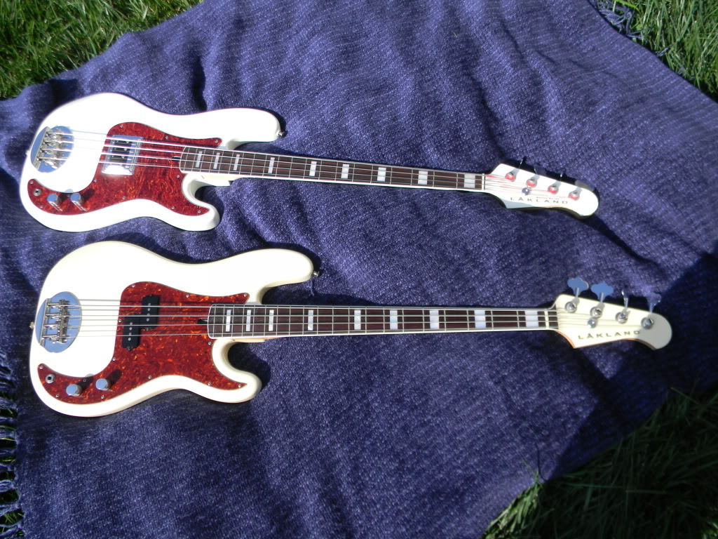 DSCN5606.jpg