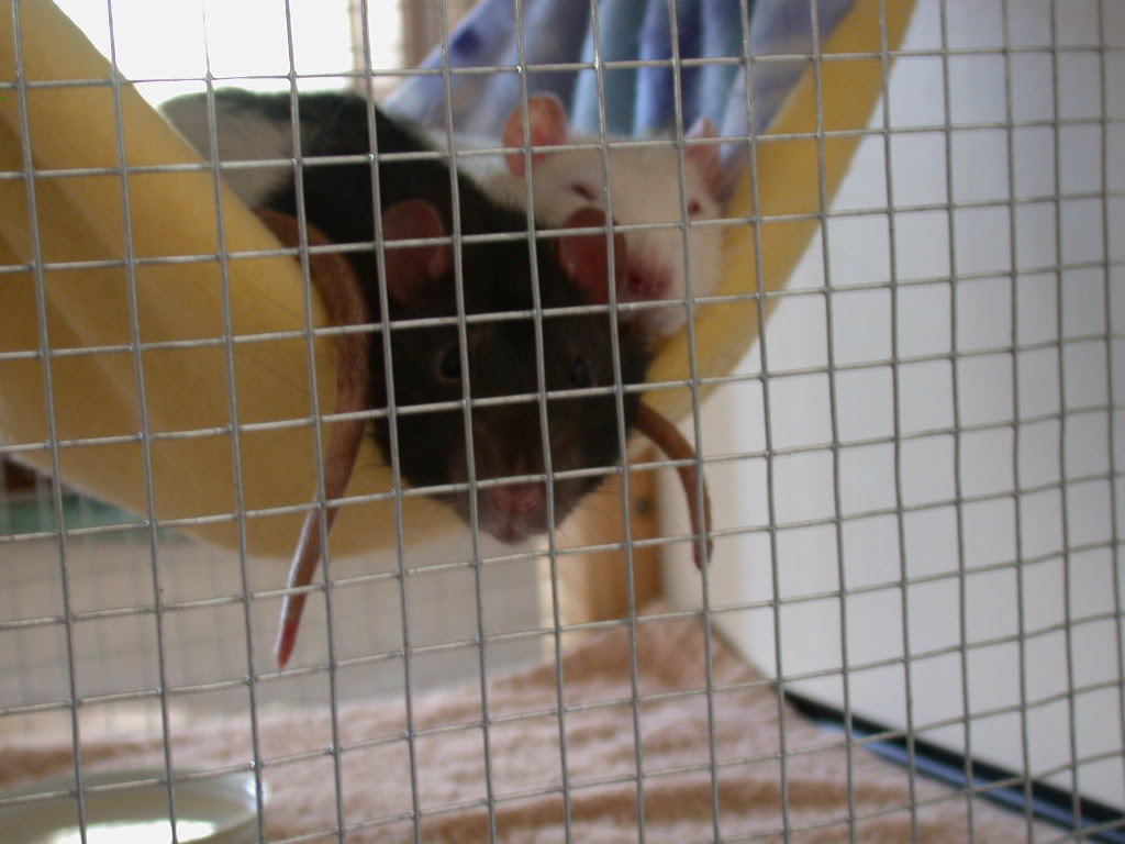 dscn5648.jpg