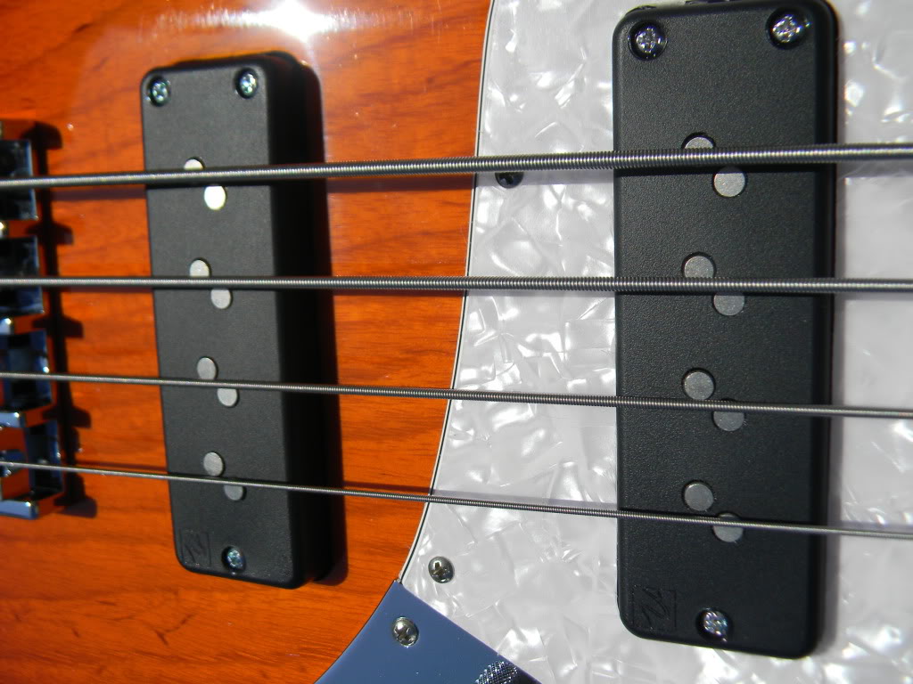DSCN5845.jpg
