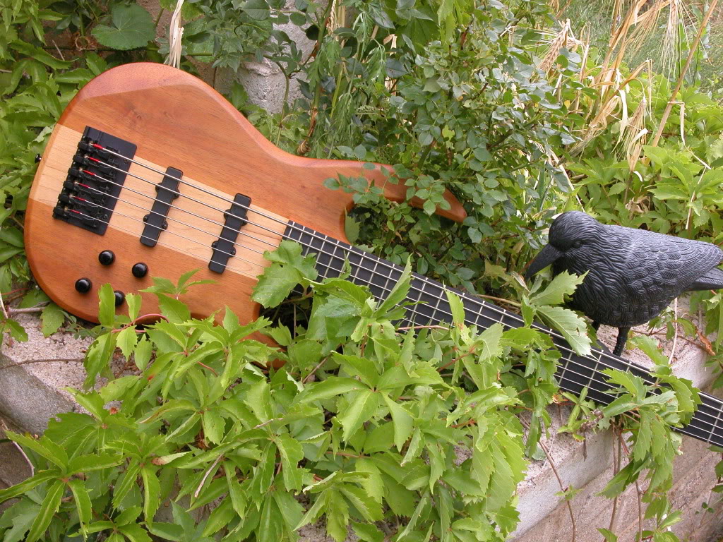 DSCN6141.jpg