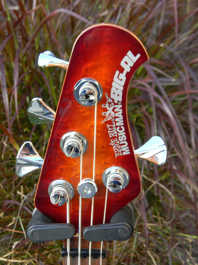 DSCN6199.jpg