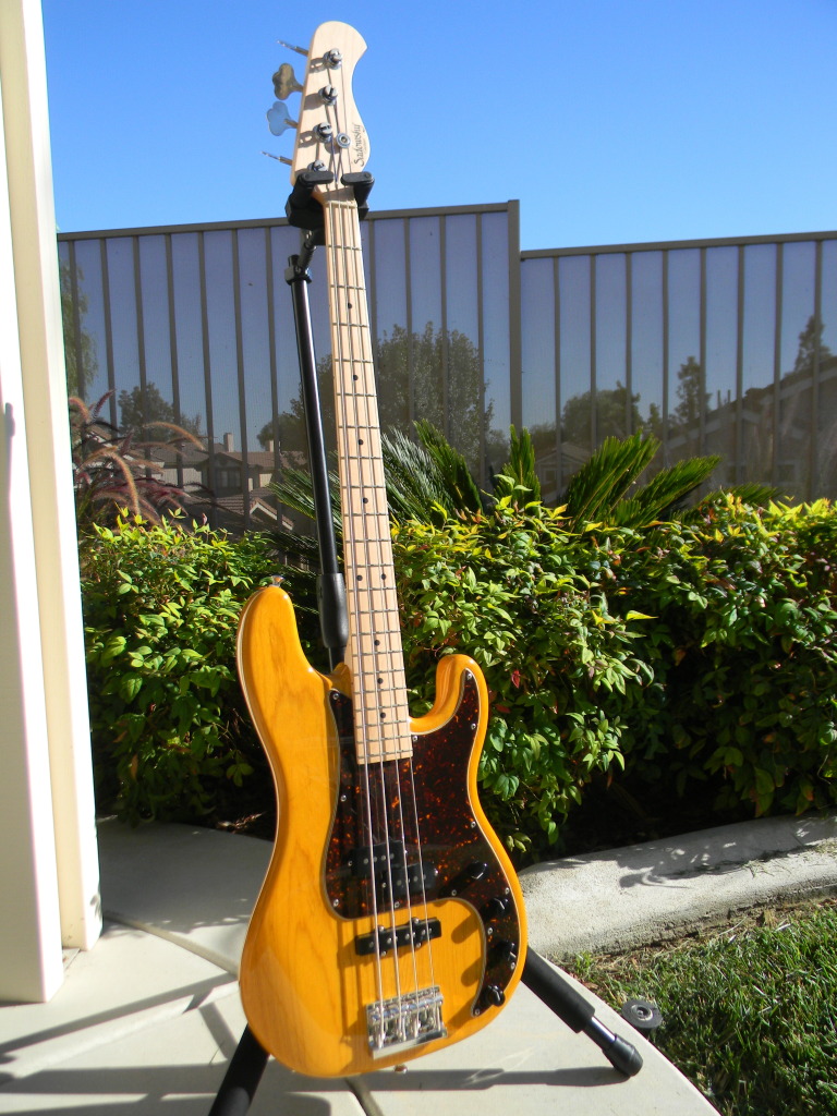 DSCN6310.jpg