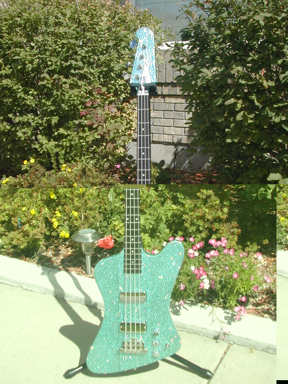 DSCN6919.JPG