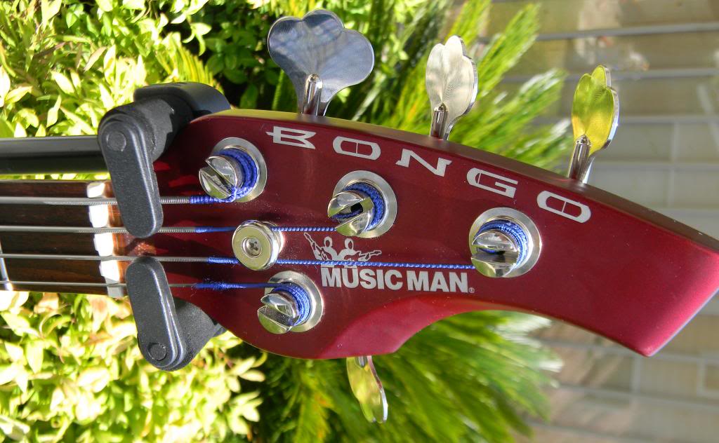 DSCN7786_zps321fa6ba.jpg