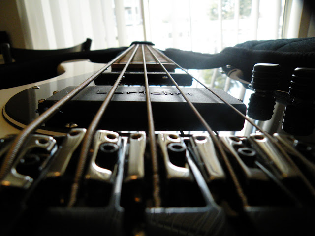 DSCN8466.jpg