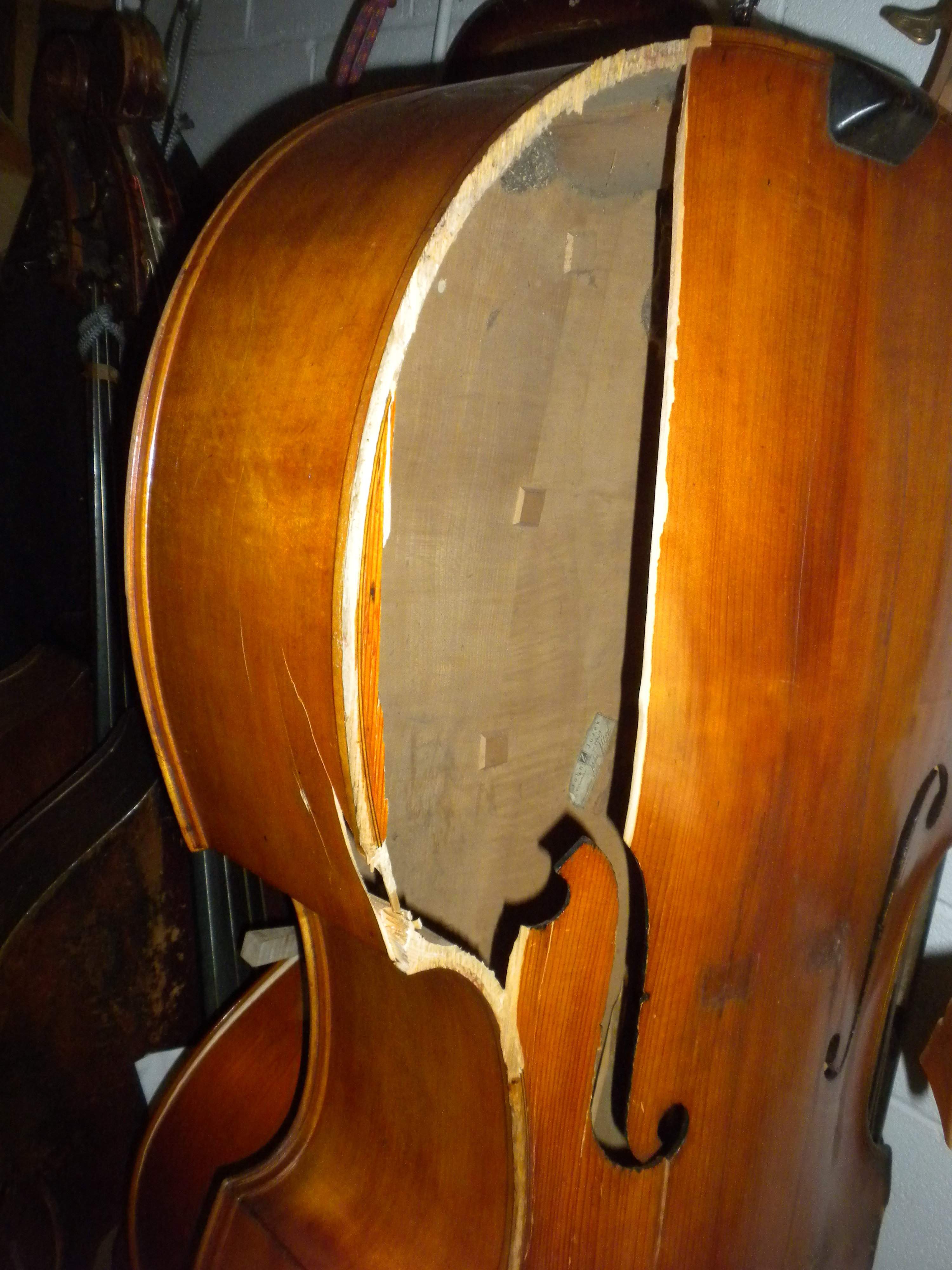 DSCN8555.JPG