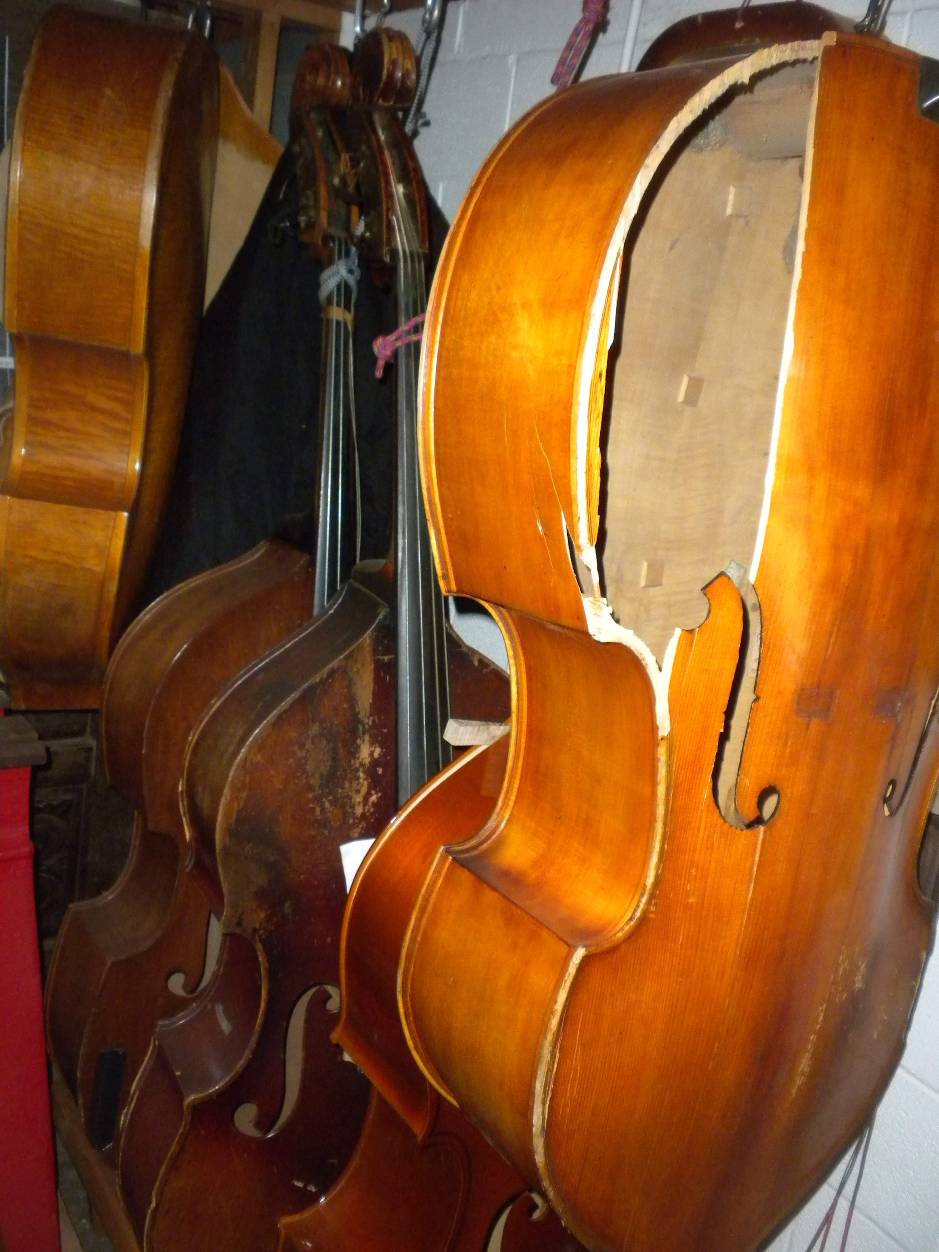 DSCN8562.JPG