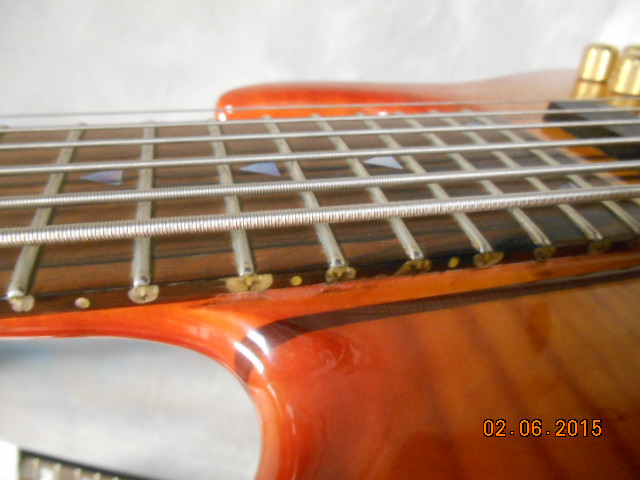 DSCN8576.jpg