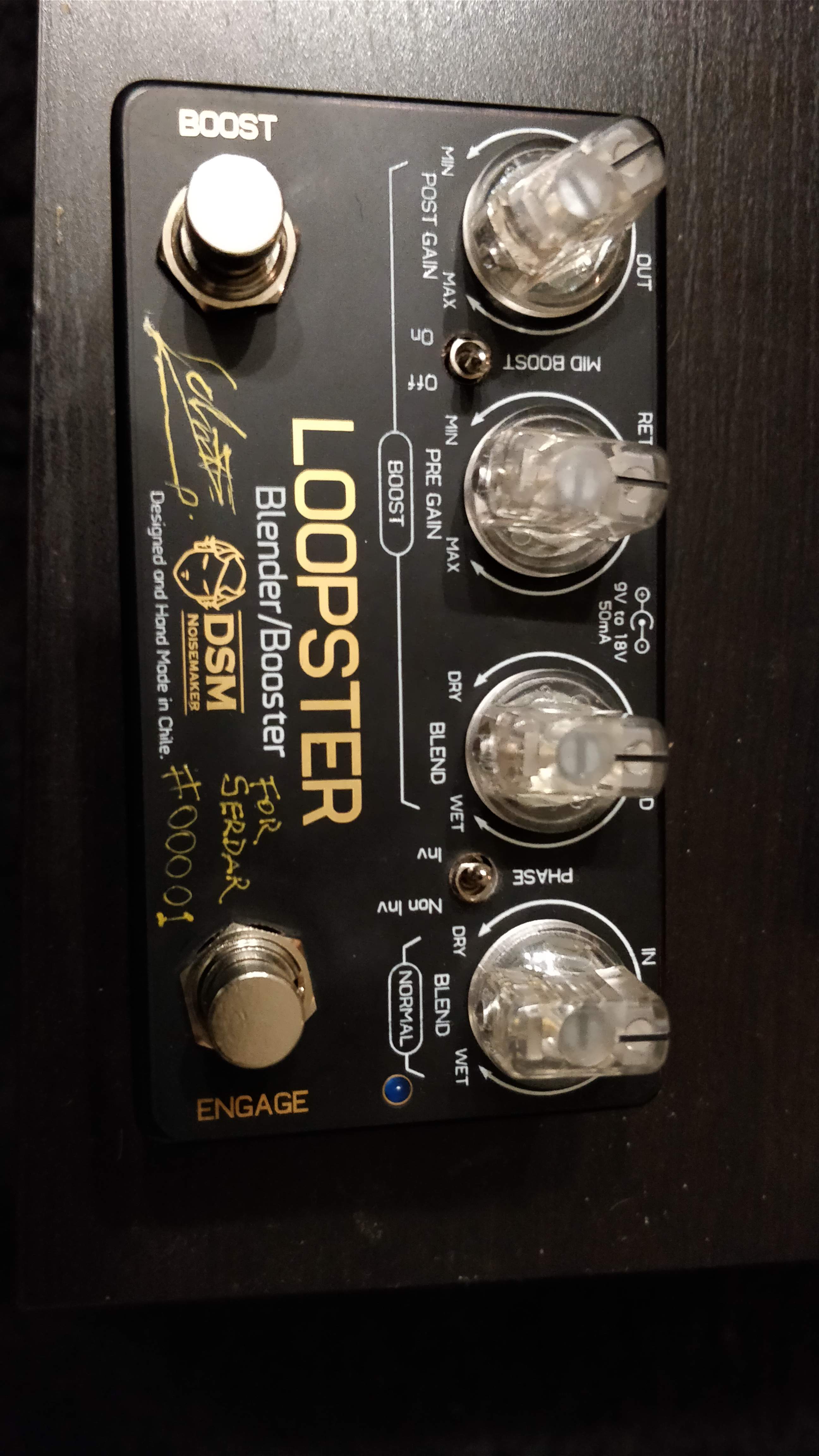 DSM Loopster.jpg