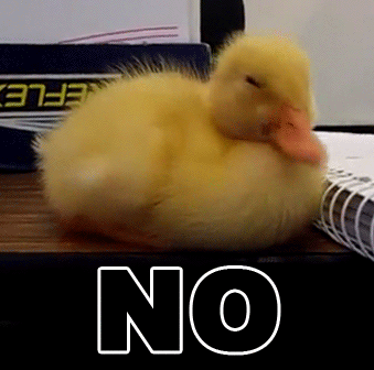 dsmh-1996815419.gif