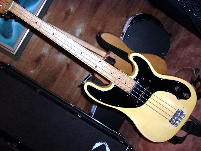 dstele.jpg