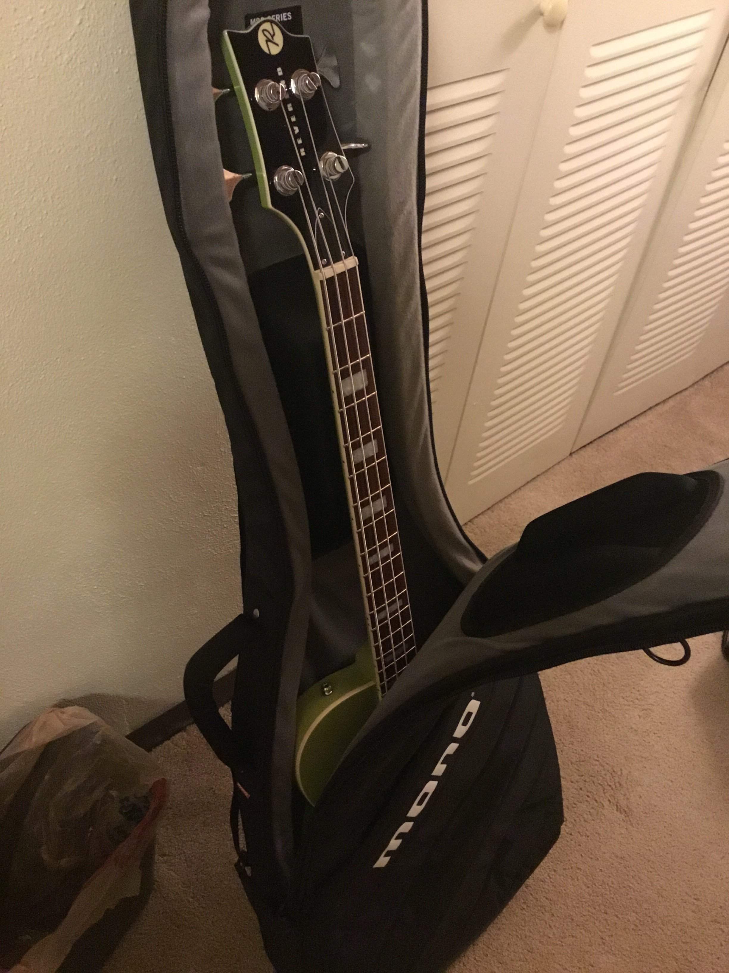 DubKing Gig bag.JPG